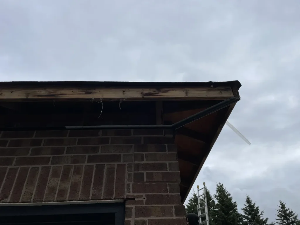 Custom Exterior Solutions, exterior by CNG Contracting (photo 9)