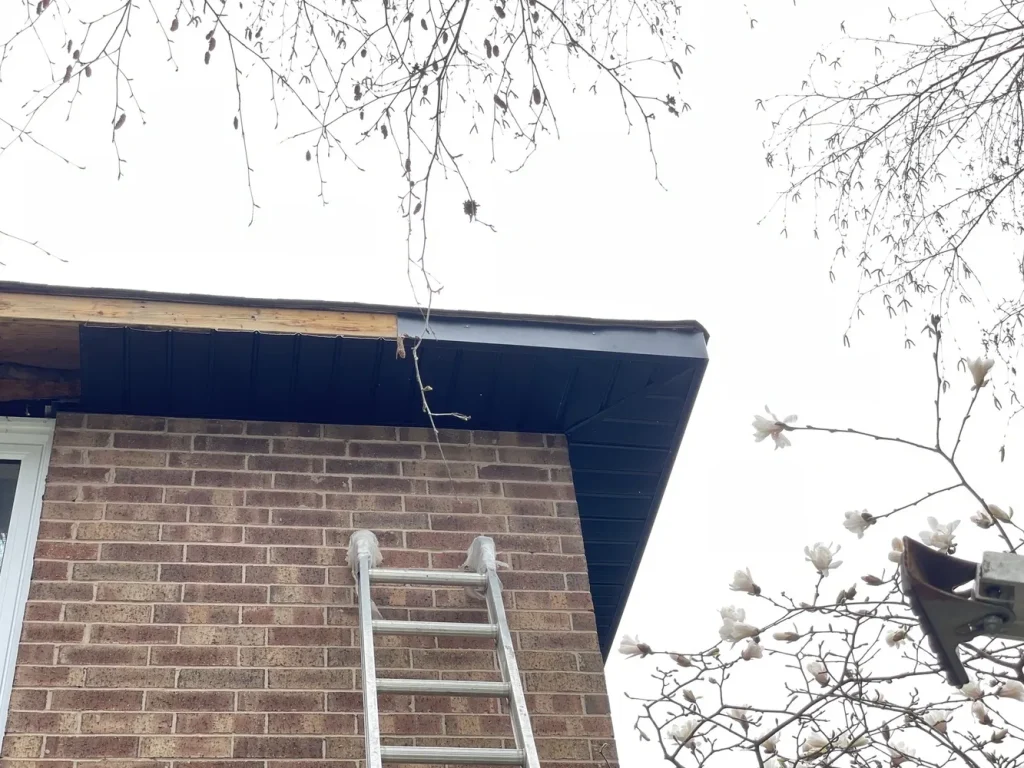 Custom Exterior Solutions, exterior by CNG Contracting (photo 4)