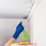 Professional Mould & Mildew Removal Toronto cleaning bathroom tiles by CNG Contracting.