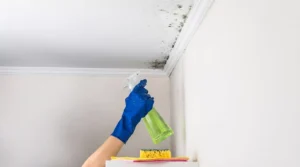 Mildew cleaning