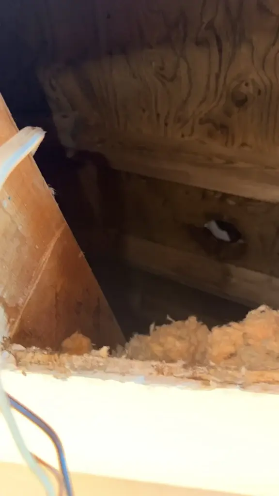 Ceiling framing and insulation above the bathroom fan