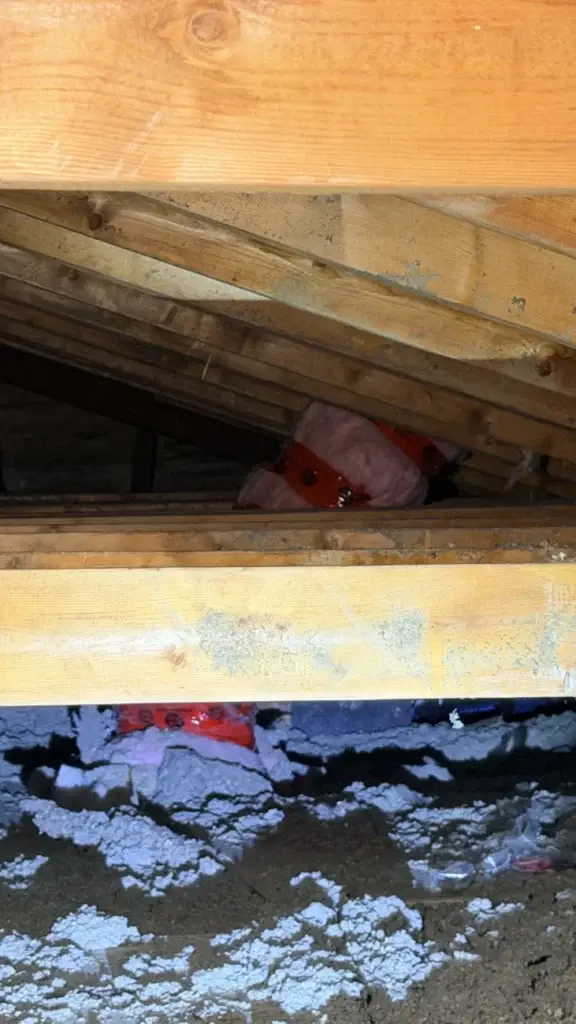 Tight attic space between the rafters above the kitchen