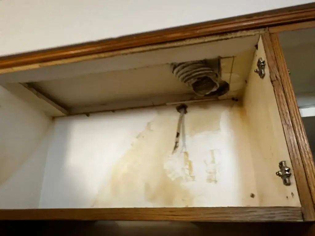 Grease stains inside the cabinet above the old range hood